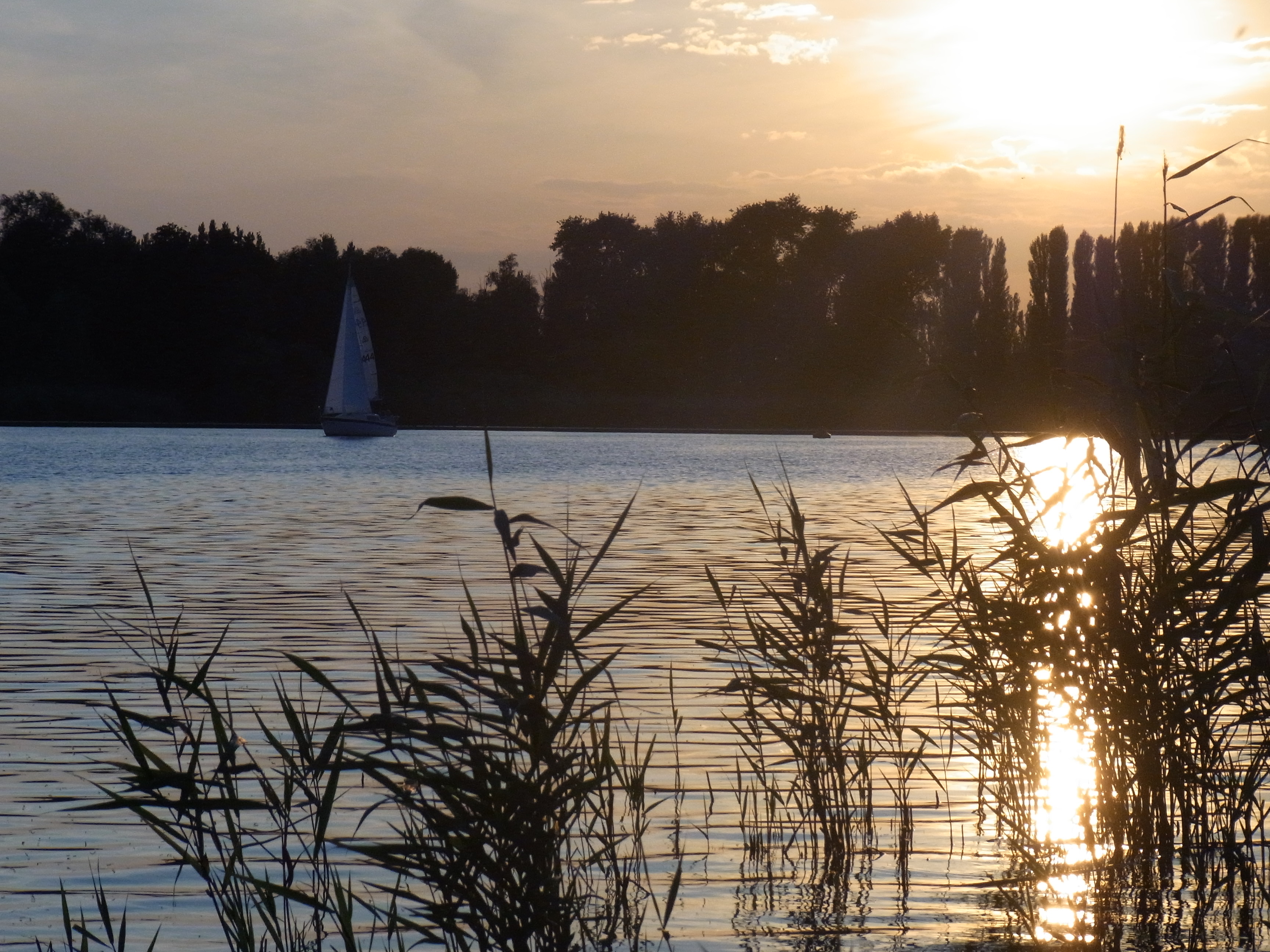 decorative background image